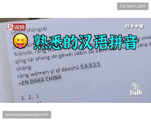 为什么选择333体育国际作为你的体育资讯首选平台：用户体验与内容丰富度分析