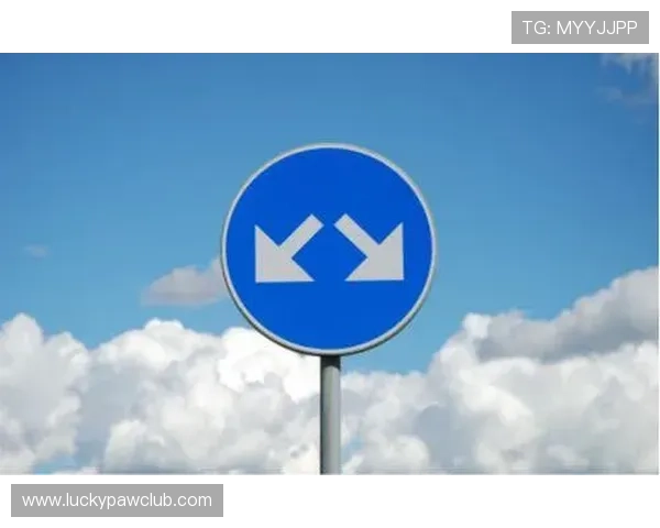 全面解析KY体育手机娱乐平台的特色功能与用户体验提升方案
